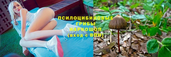 таблы Алзамай