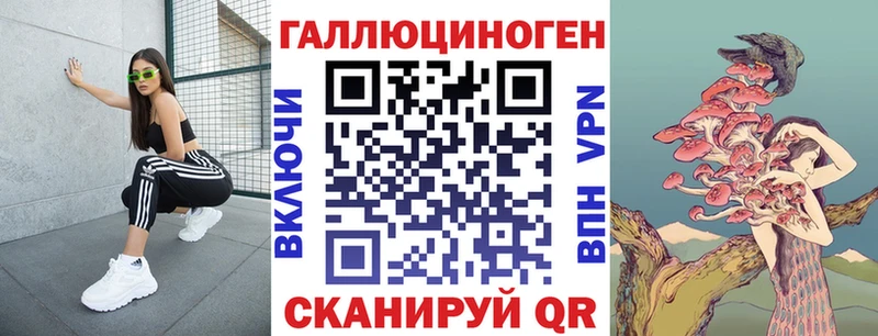 где купить наркоту  Чекалин  OMG как зайти  Псилоцибиновые грибы Cubensis 